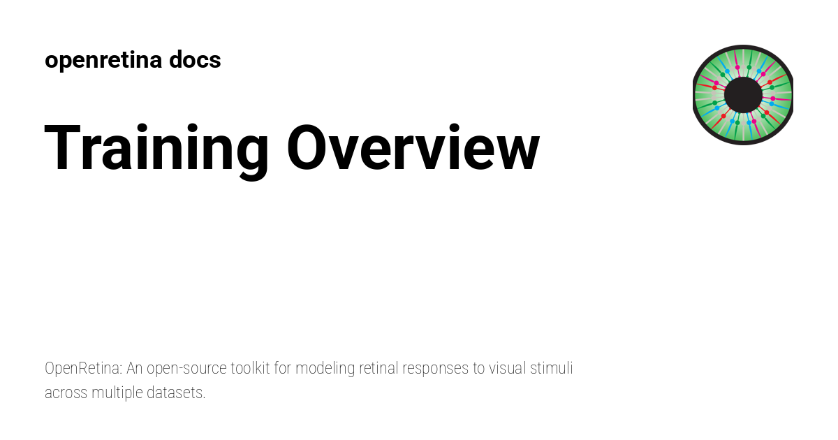 Training Overview - openretina docs